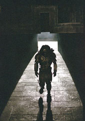 Predator313